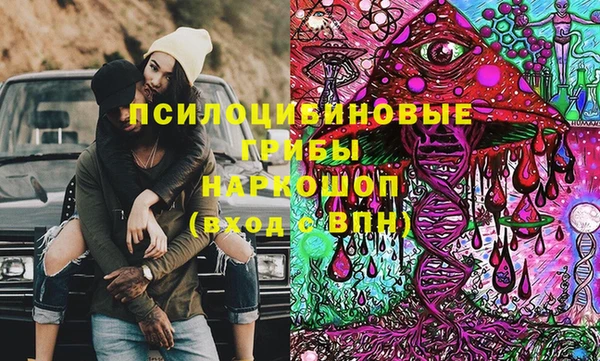 молекула духа Алексеевка