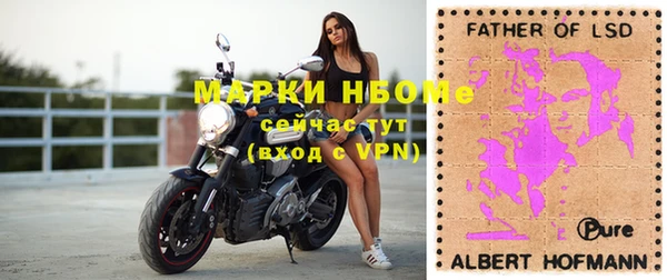 молекула духа Алексеевка